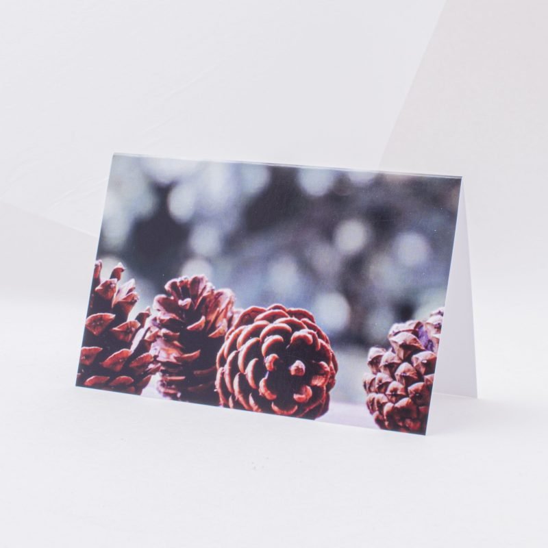 Postcard "Pine tree"