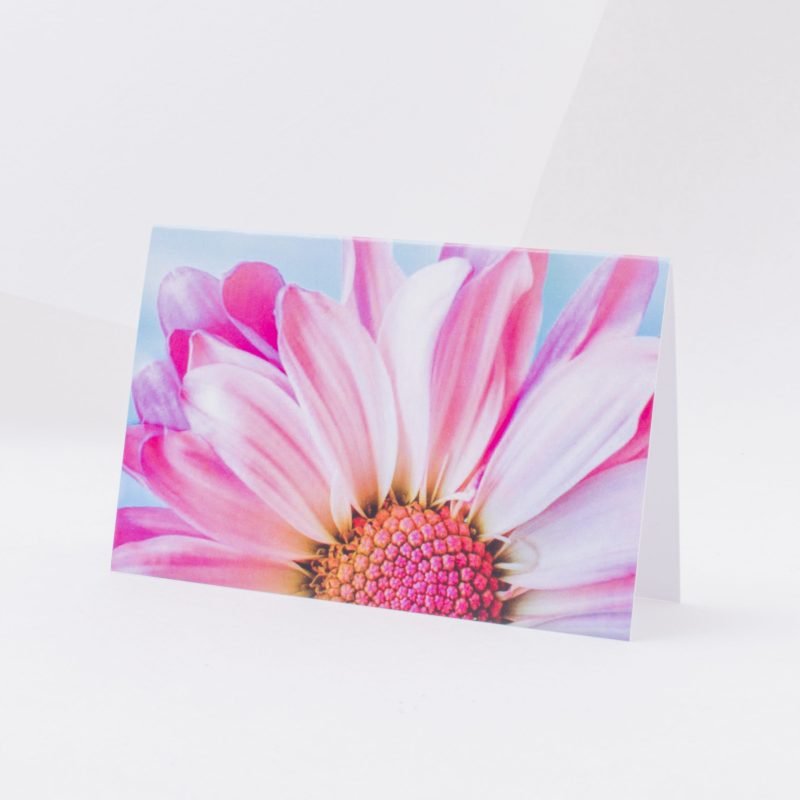 Postcard „Pink bloom“