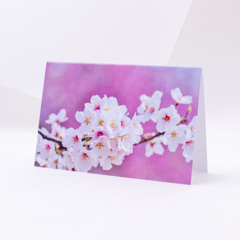Postcard "Spring flowers"
