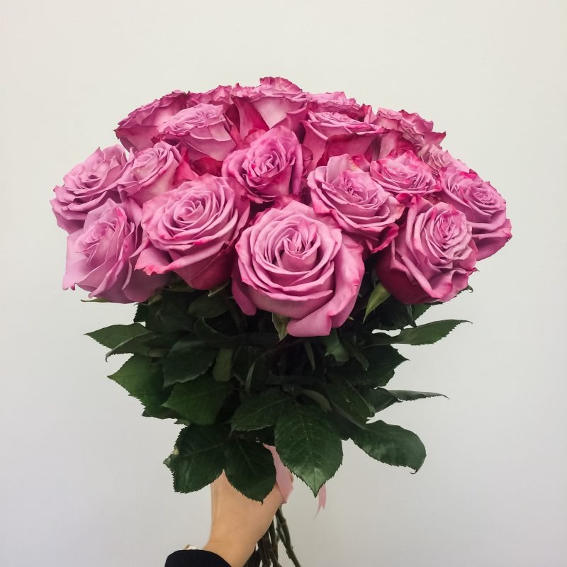 Bouquet of pink roses