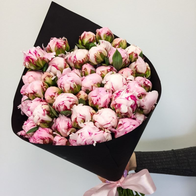 Bouquet of pink peonies