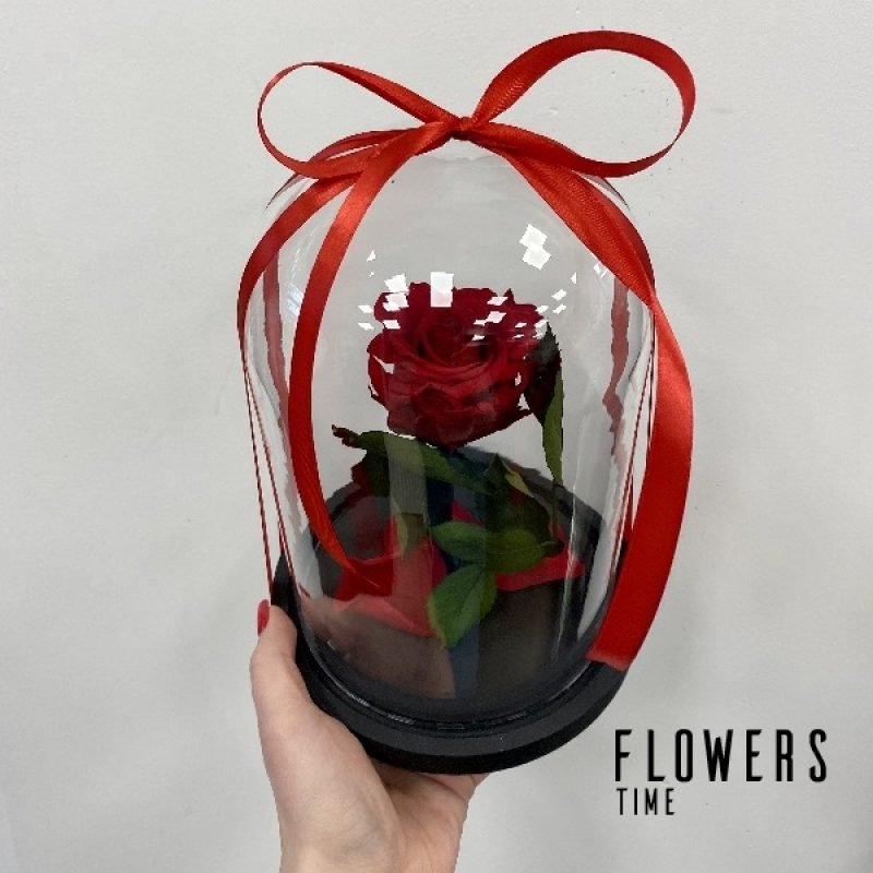 Raudona mieganti rožė po stiklu dovana draugei mieganti rožė po stiklu dovana draugei
