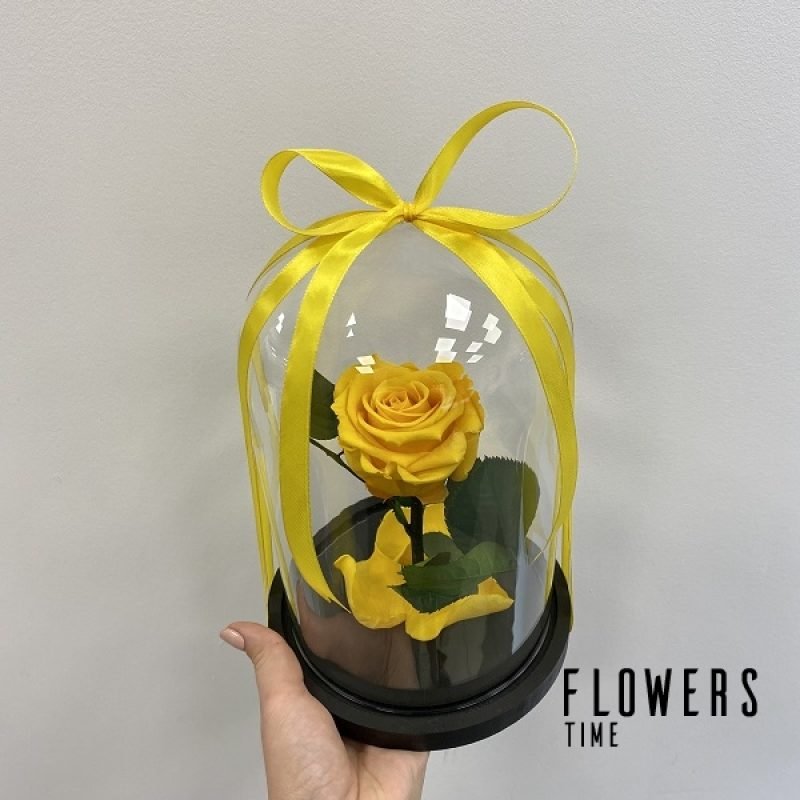 Geltona mieganti rožė po stiklu dovana draugei mieganti rožė po stiklu dovana draugei