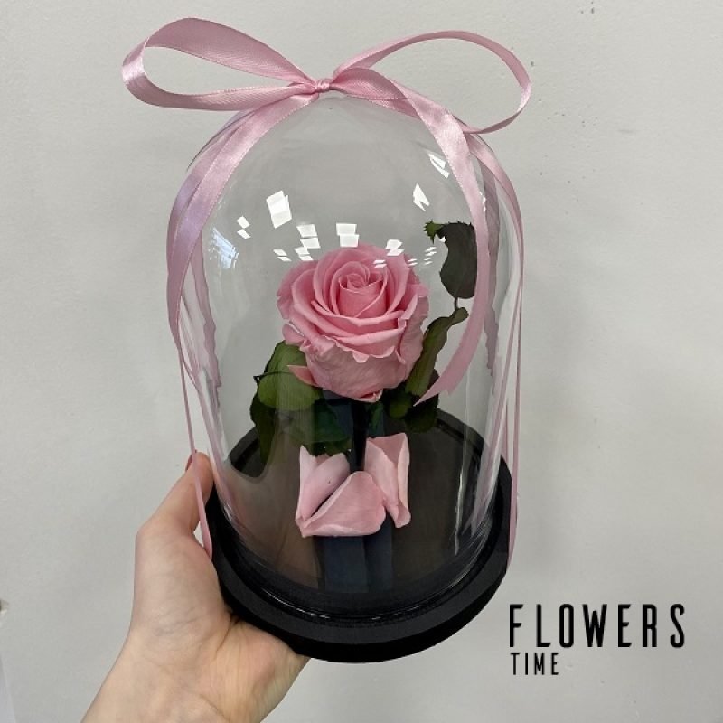 Rožinė mieganti rožė po stiklu dovana draugei
