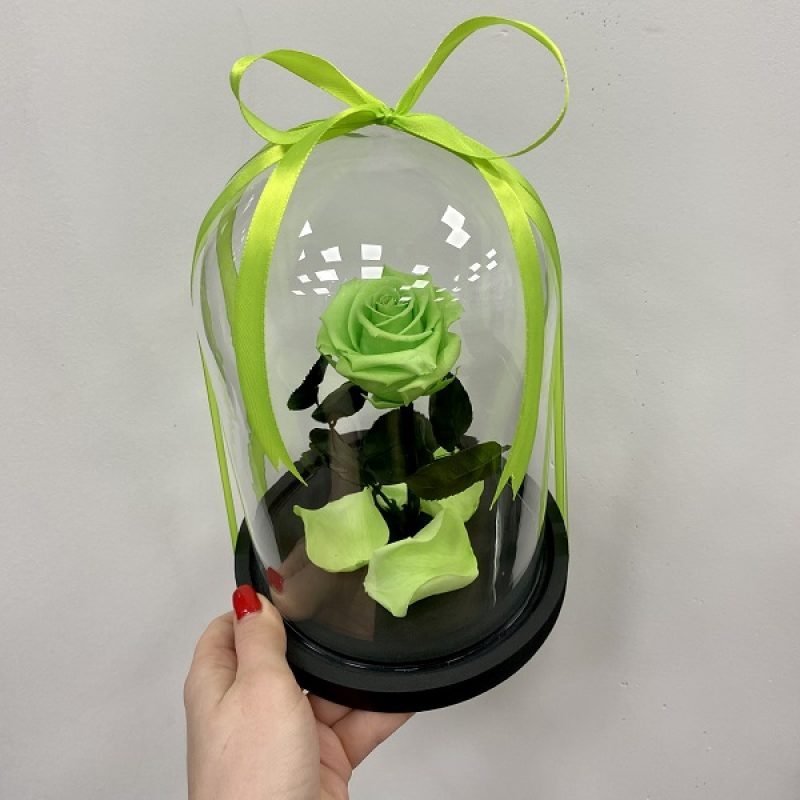 Ryškiai žalia mieganti rožė po stiklu dovana draugei mieganti rožė po stiklu dovana draugei