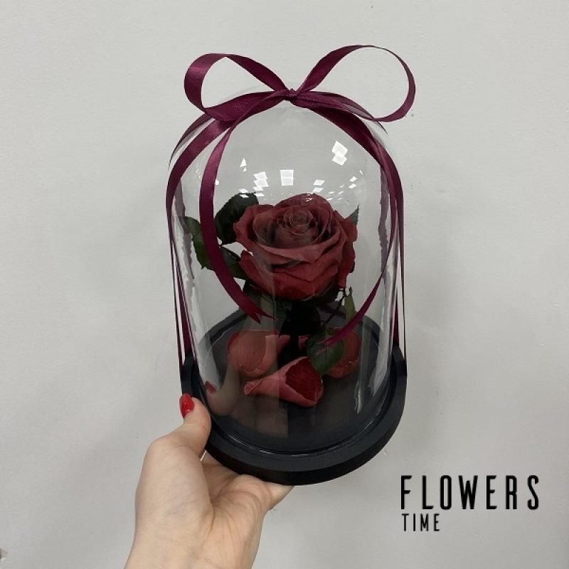 Vyšninė mieganti rožė po stiklu dovana draugei