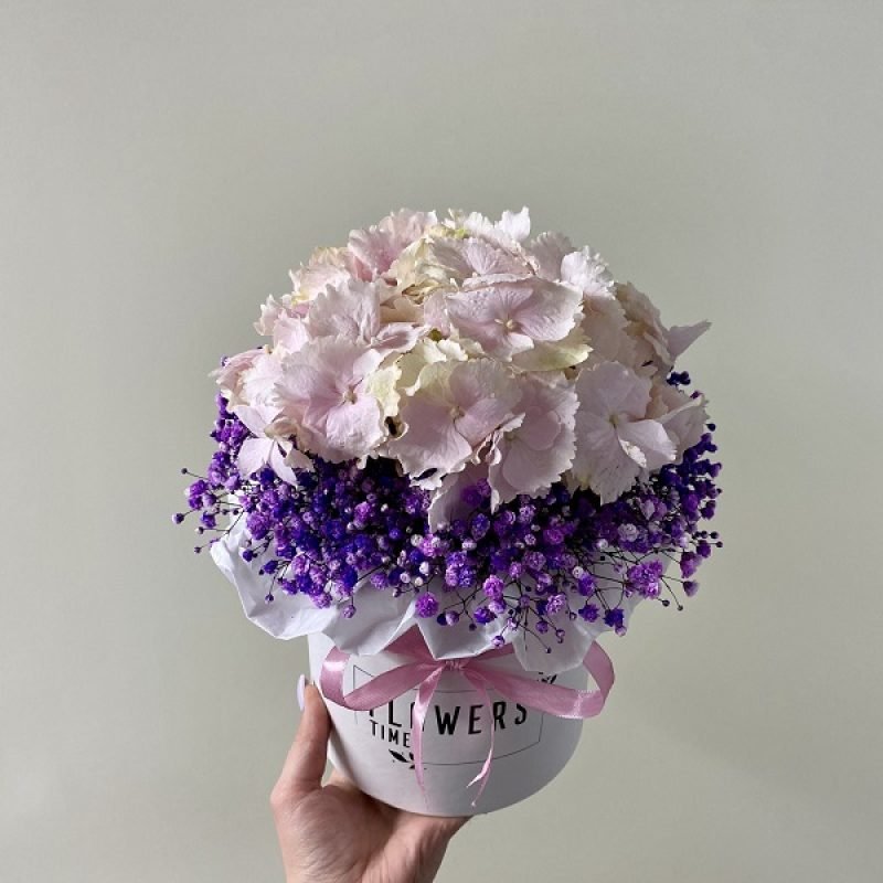 Rožinė hortenzija ir violetinės gubojos dėžutėje